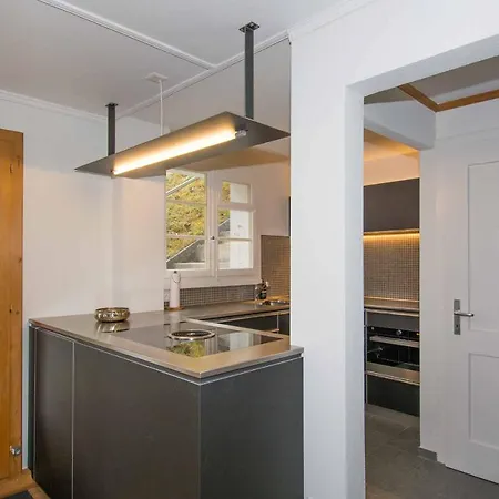 Holiday home Lerchehus Adelboden